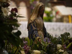 001-Pelerinage-Lisieux_2025 -10-11_0021